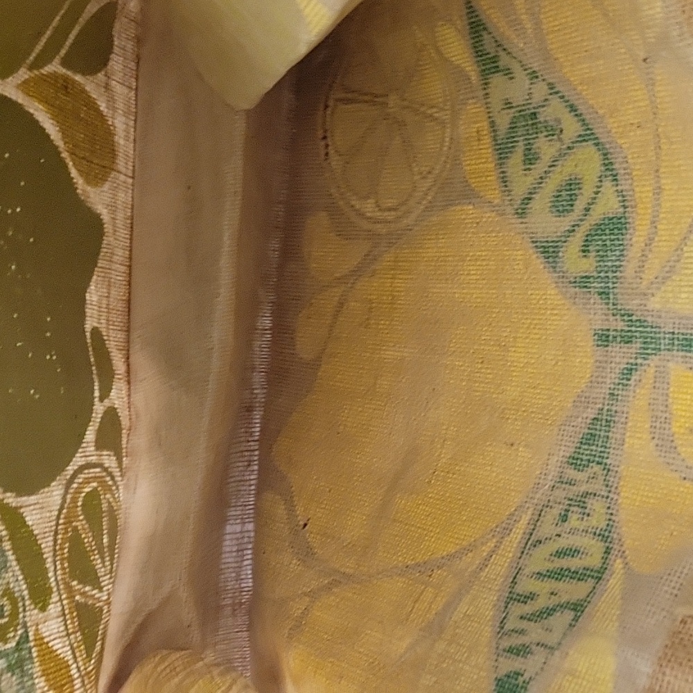 Green and Tan Tote Bag. Trafer Joe's New Without Tags - Picture 4 of 5